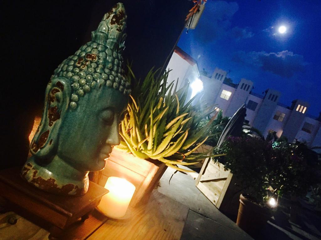 Oasis Hotel Fort Lauderdale Dış mekan fotoğraf